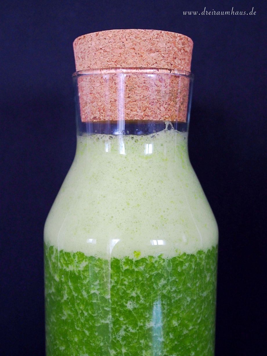 dreiraumhaus dowabo steel bottle trinkflasche green smoothie