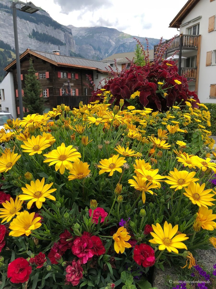 Die Schweiz und warum ich jederzeit nach Flims zurückkehren würde...eine Auszeit in der Sardona, am Caumasee und im Hotel Adula!